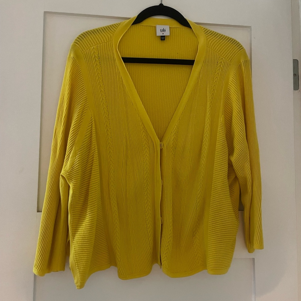 Cabi sweater